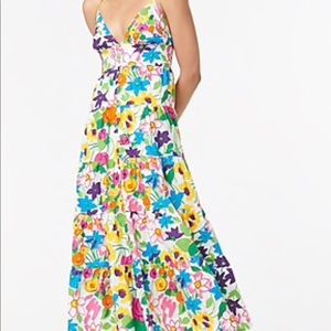 Gorgeous J Crew dress